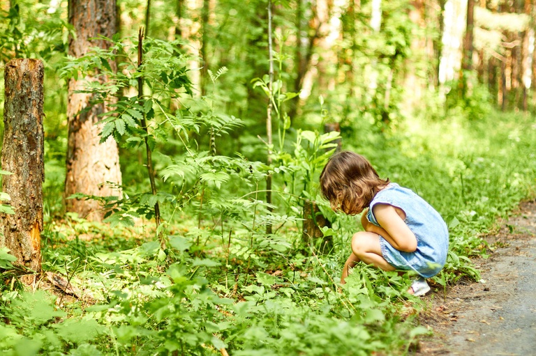 ECA Ambiental: Nova Lei 15.512 Garante o Direito à Natureza e Reforça Proteção Climática para Menores